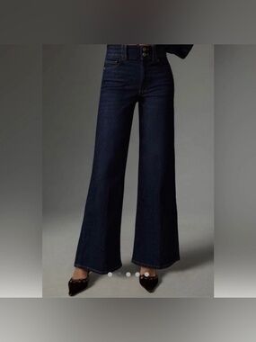 Frame Triple Binding Le Slim Palazzo High Rise Wide Leg Dark Fife Denim Jeans 31